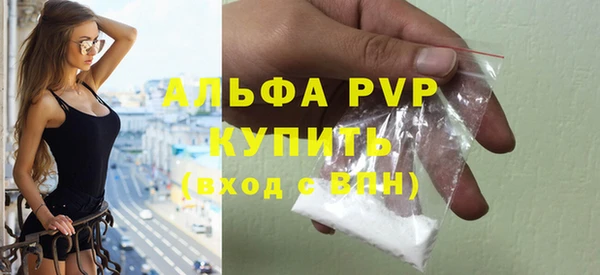 PSILOCYBIN Гусев