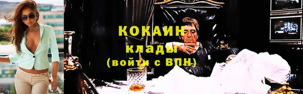 PSILOCYBIN Гусев