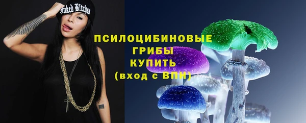 мяу мяу кристалл Гусь-Хрустальный