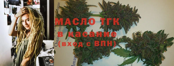мяу мяу кристалл Гусь-Хрустальный