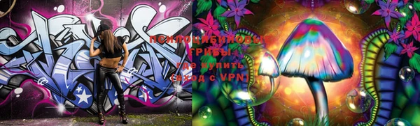 PSILOCYBIN Гусев
