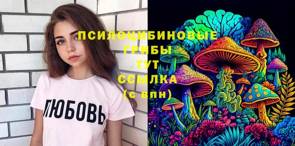 таблы Гусиноозёрск