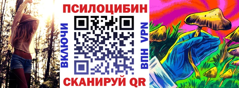 Галлюциногенные грибы MAGIC MUSHROOMS где можно купить Пестово